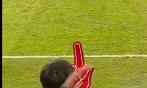 成都公安：两名球迷为发泄情绪展示侮辱性物品+辱骂 已行政拘留