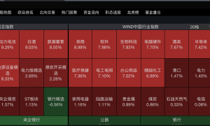 牛市回来了！创业板大涨10%，上交所系统崩盘，“老股民还在套牢，等待回本”