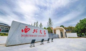 大学女副校长成陕西首富 身家440亿