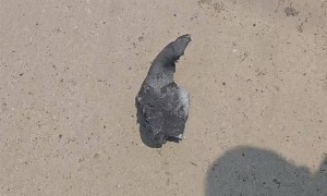 亲历者讲述山东高密化工厂爆炸：有厂房玻璃全被震碎，飞溅的金属碎片砸伤1公里外的工人