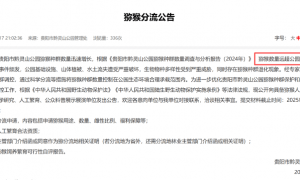 贵阳黔灵山下起“猴子雨”？当地称属猴群正常活动，曾发猕猴分流公告：数量远超承载力