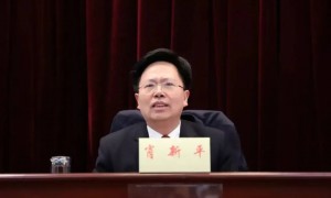 笔名“萧逍遥”的长沙中院原院长肖新平被开除党籍，落马前散文集刚获文学奖