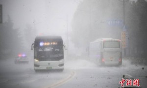 台风“贝碧嘉”登陆上海 申城市区狂风骤雨